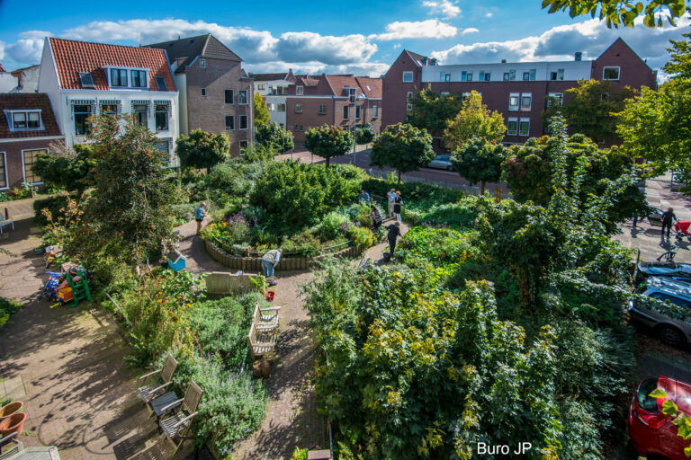 Stadsmoestuin met mensen, omringd door woningen en bomen onder een blauwe lucht.