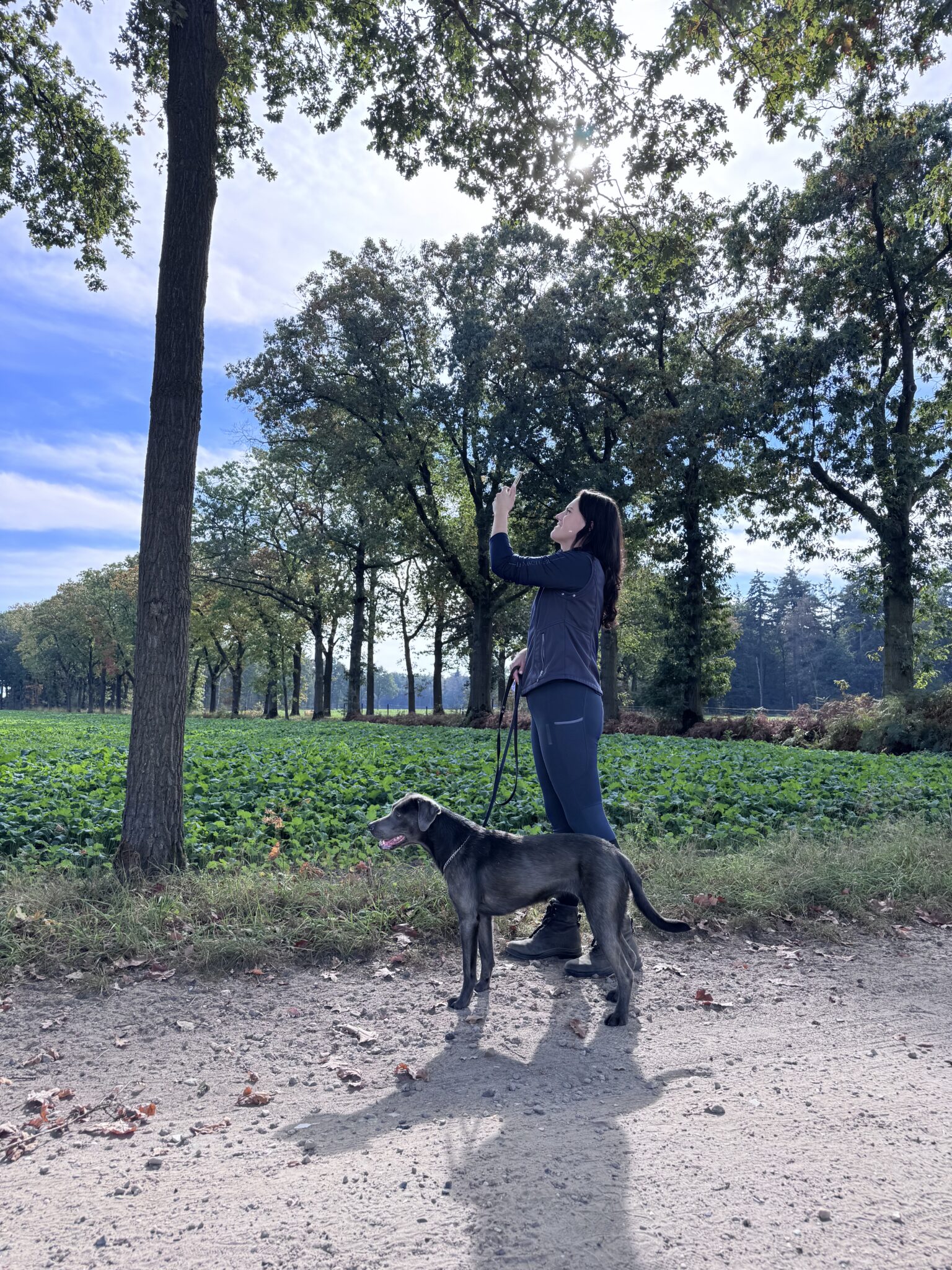 Vrouw met hond kijkt omhoog naar boom langs landelijk pad, omgeven door groene velden.