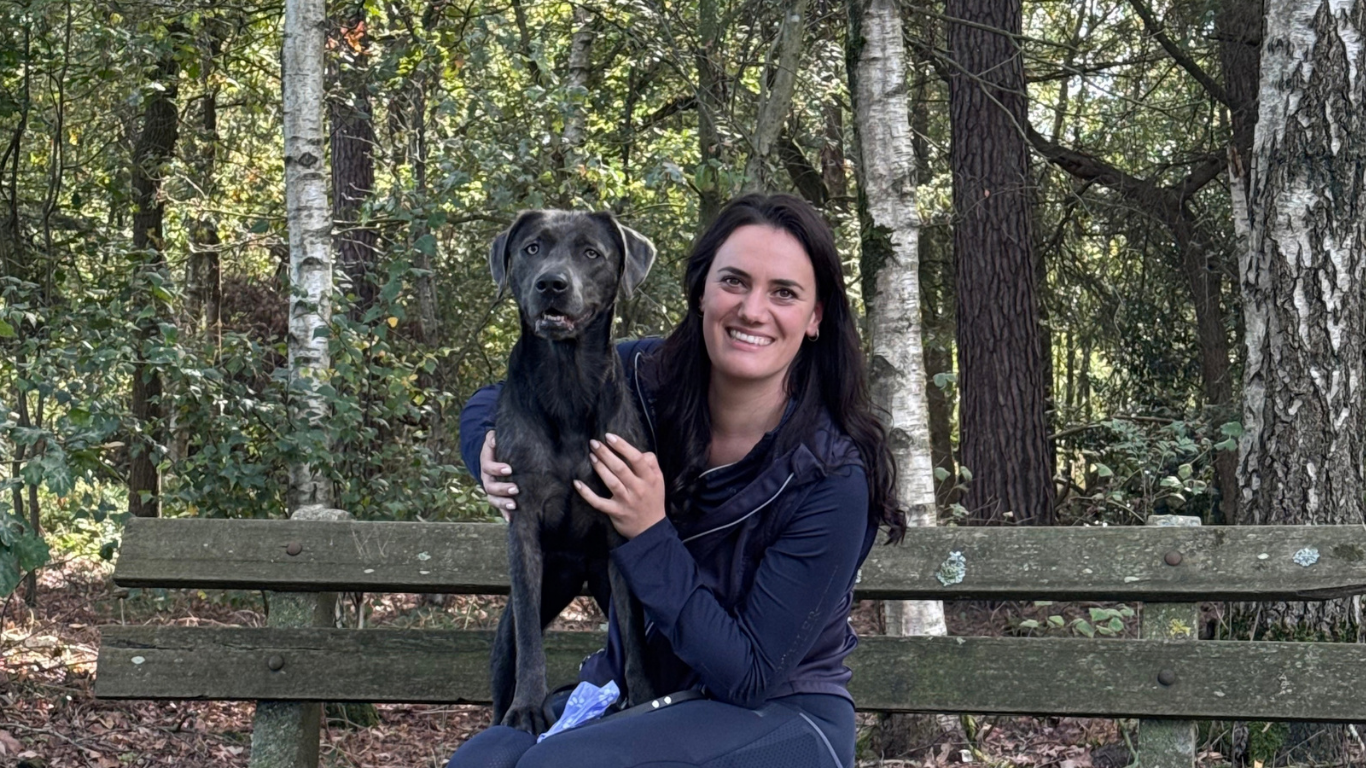 Vrouw knuffelt grote hond op houten bank in bosrijke omgeving.