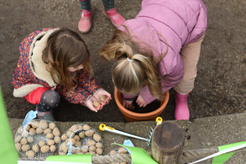Kinderen planten zaadjes in een pot, met zakken vol aardappelen en tuingereedschap naast hen.