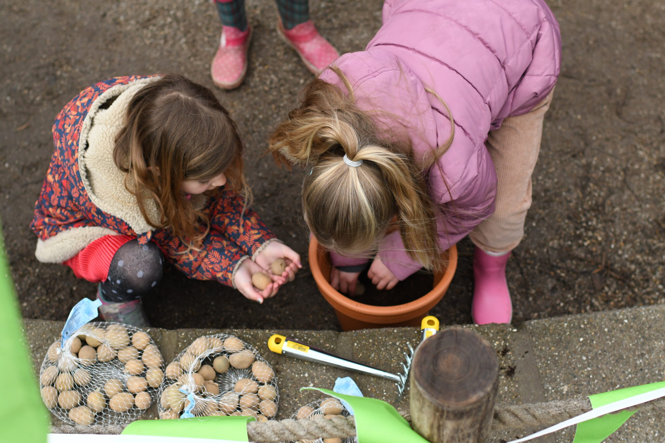 Kinderen planten zaadjes in een pot, met zakken vol aardappelen en tuingereedschap naast hen.
