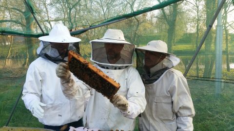 Financiële steun voor Amsterdamse initiatieven duurzaamheidseducatie