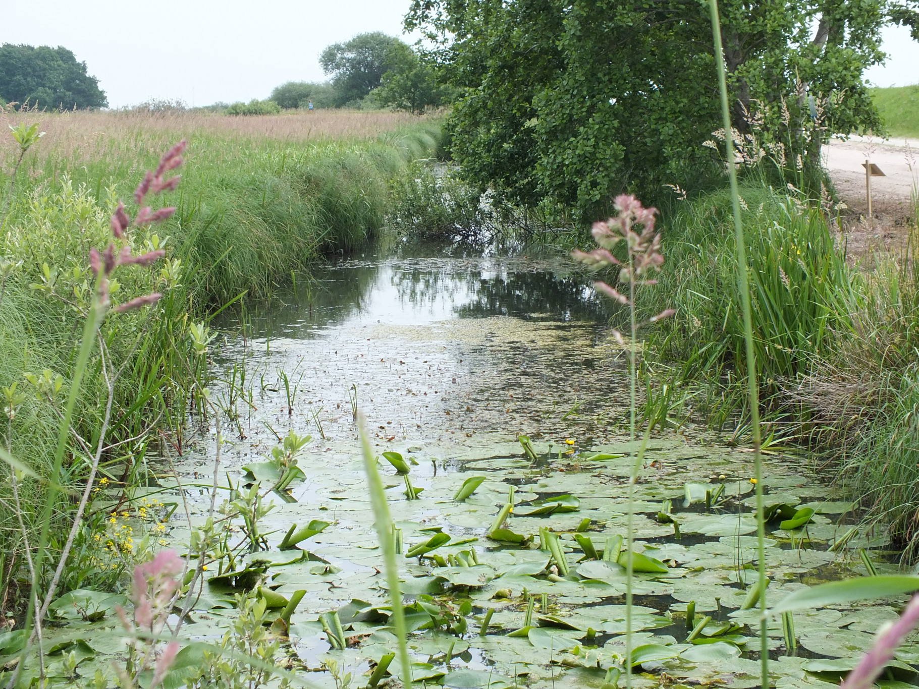 Natuuractiviteit of excursie (op maat)