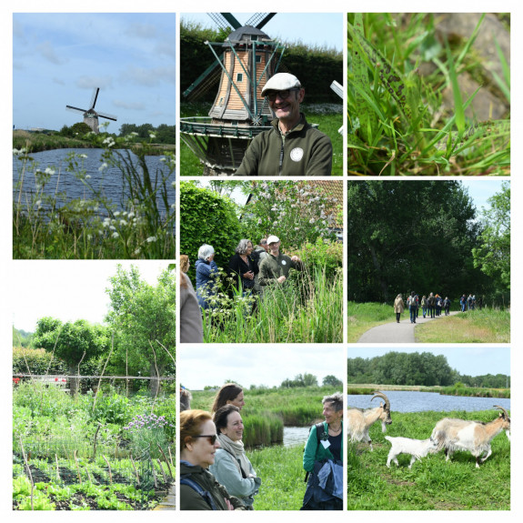 collage molen