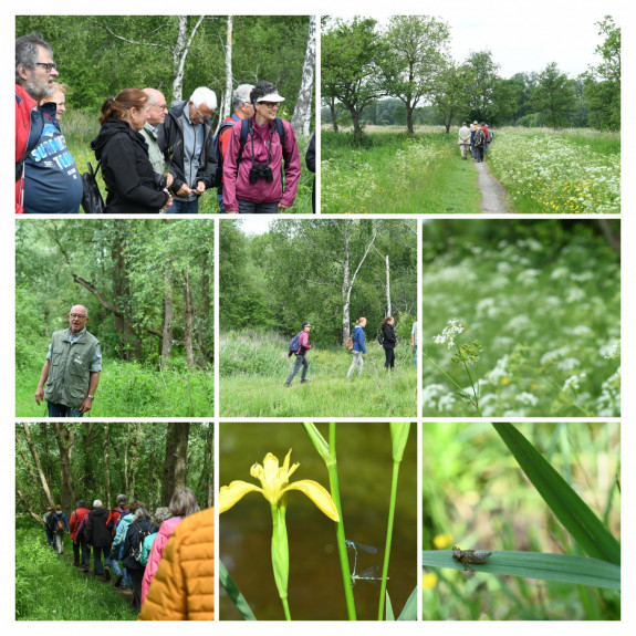 collage de blokken