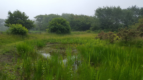 natuurmomentje Walter