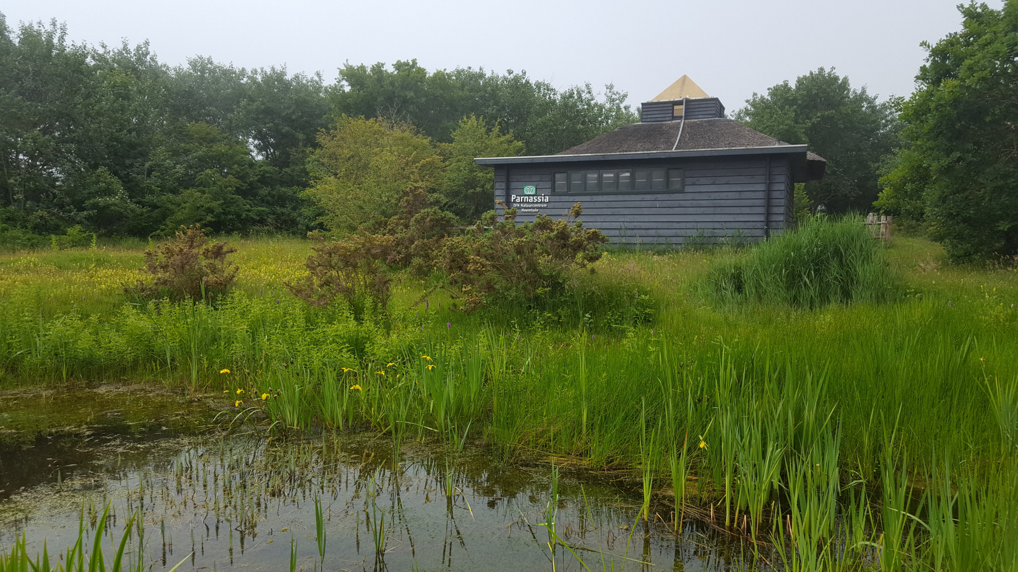 Natuurmomentje Walter Swagemakers – Natuurgids IVN Noord-Kennemerland 