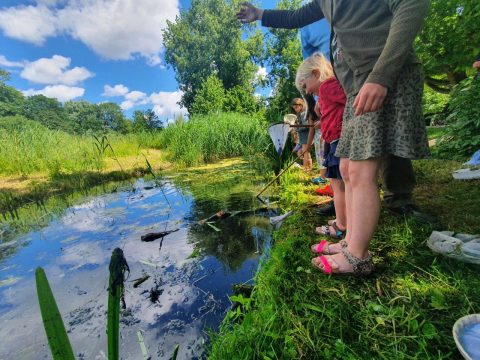 Kinderen en (groot)ouders enthousiast over Slootjesdag