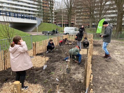 Leerlingen planten Voedselbosje De Krijtmolen