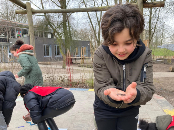 Leerlingen planten Voedselbosje De Krijtmolen