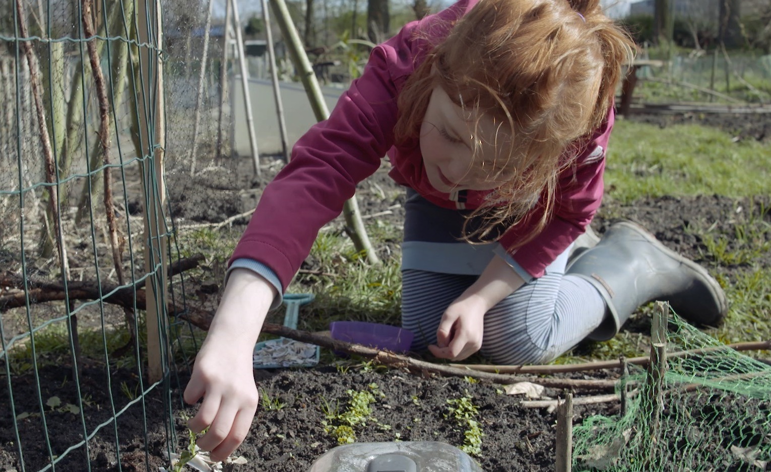 Educatie en schooltuinfilm