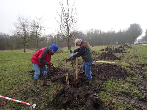 IVN West-Friesland realiseert Voedselbos de Haling door middel van crowdfunding