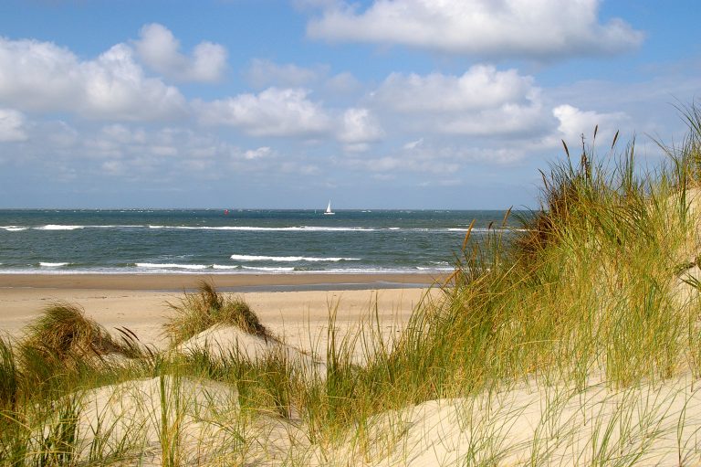 Nationaal Park Duinen van Texel