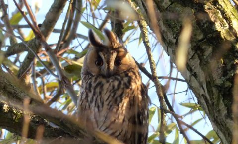 Natuurmomentje Joke Pruis – Natuur als verbinder