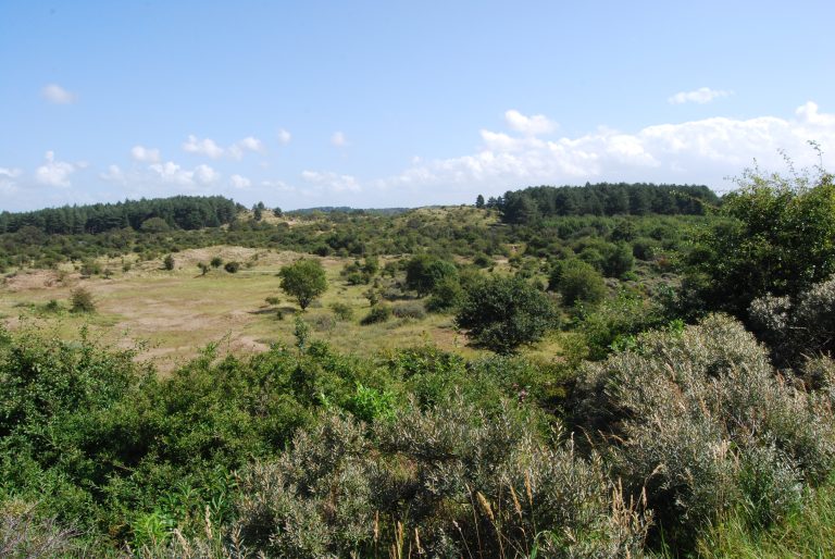 Nationaal Park Zuid-Kennemerland