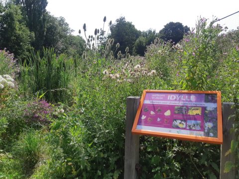 Natuurmomentje Paul de Dooij- Natuur in de stad