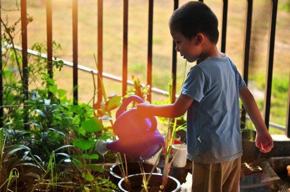 moestuin