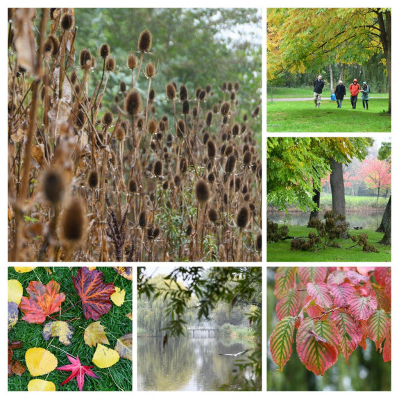 collage gezond natuurwandelen