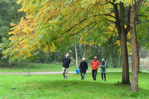 Gezond wandelen in de regen