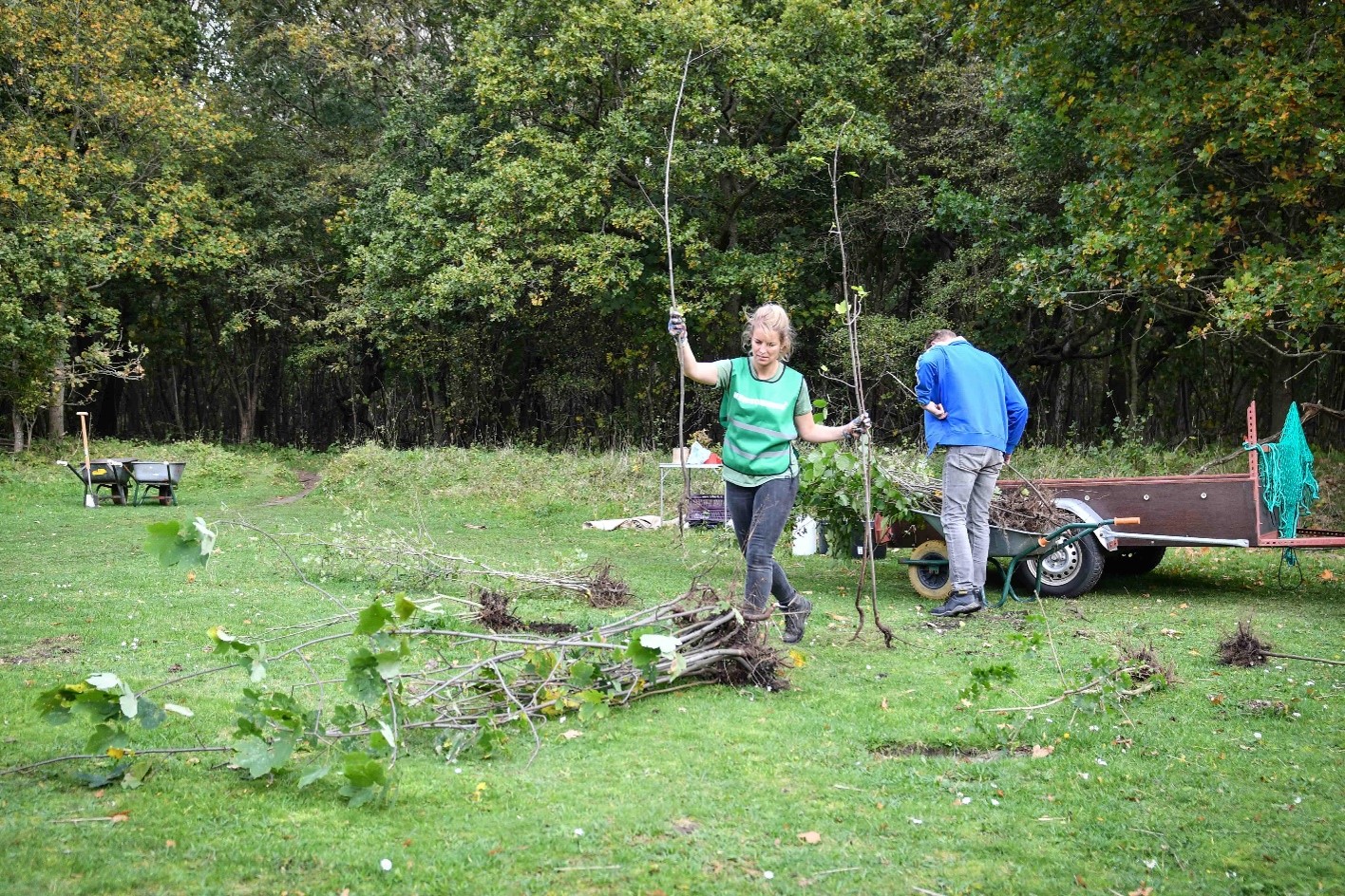 Twee personen werken in een bosgebied met takken en een kruiwagen.