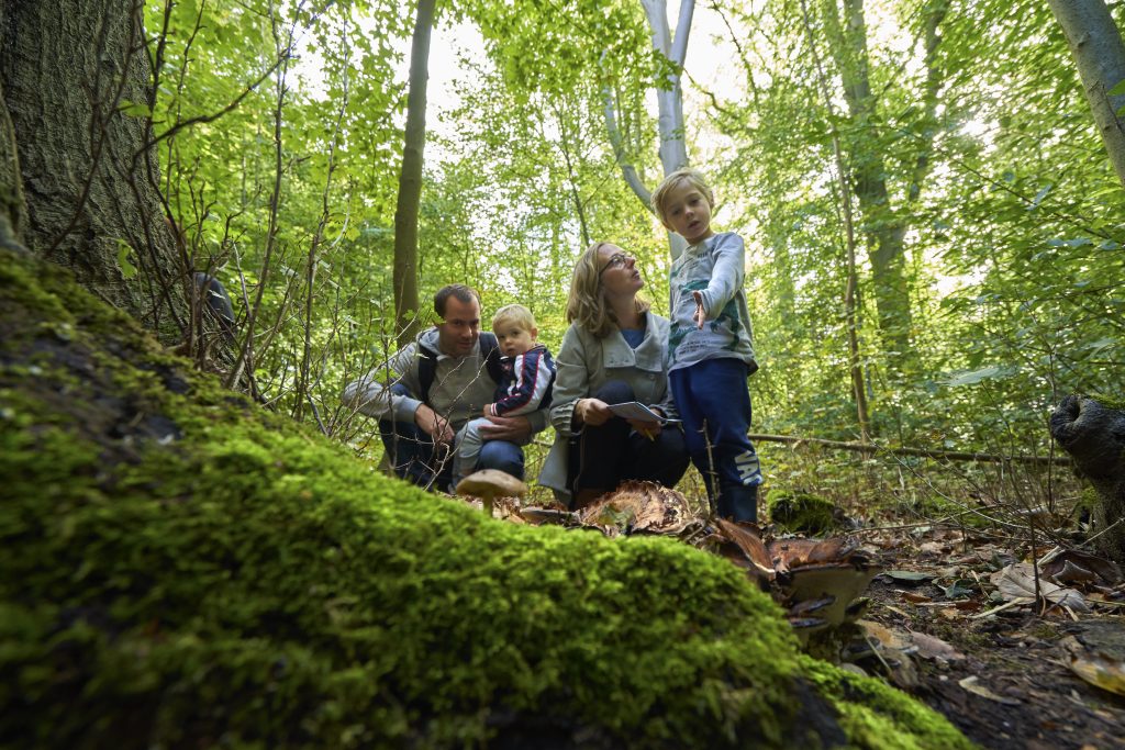 Ontdek de magie van de herfst met IVN Natuureducatie NoordHolland