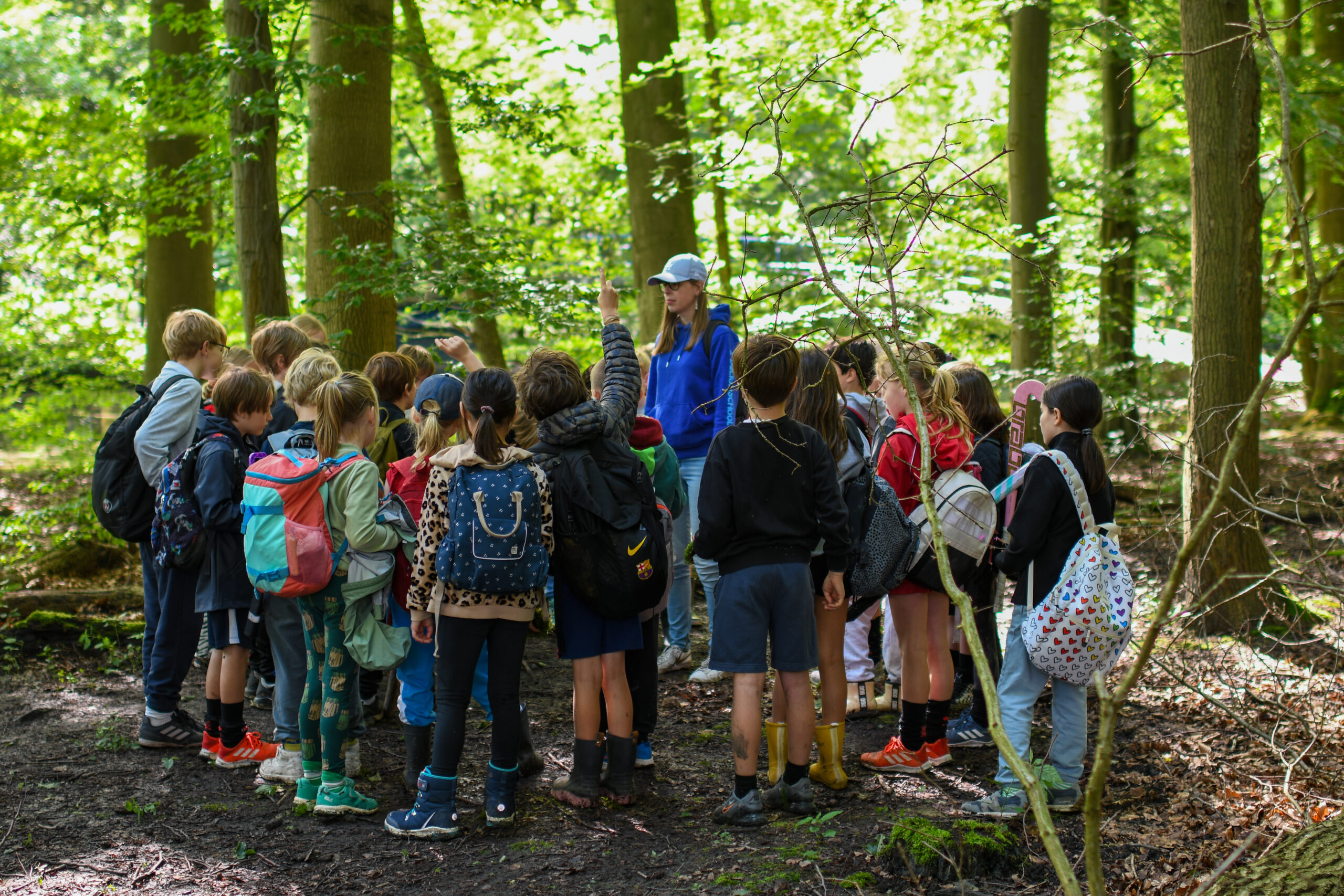 Groep kinderen in bos, luistert naar een gids. Ze dragen rugzakken en staan dicht bij elkaar.