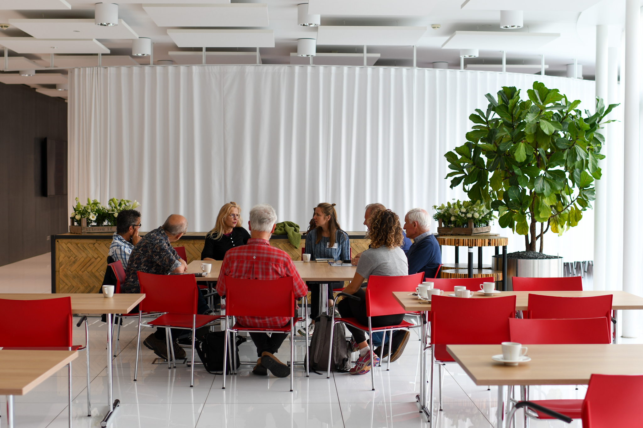 Groep mensen zit rond een tafel met rode stoelen, omgeven door kamerplanten.