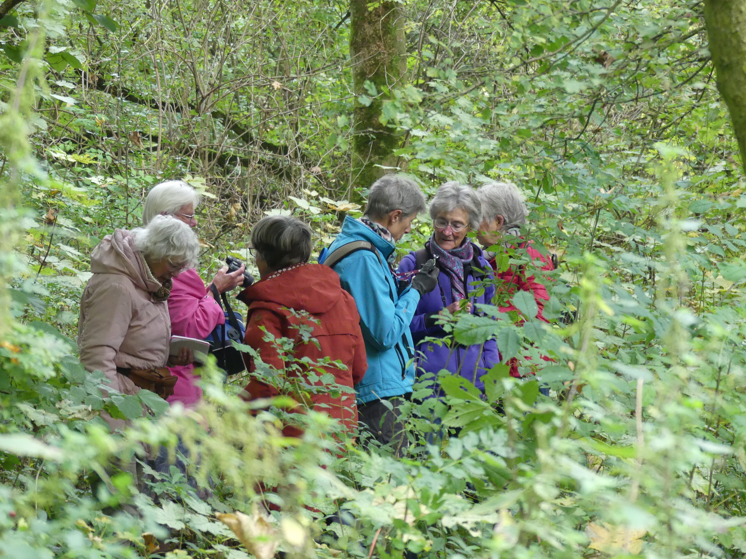 Senioren bekijken apparatuur in een bosrijke omgeving.