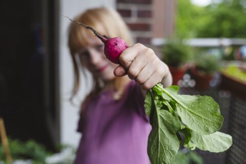 Kind houdt een vers uitgetrokken radijs omhoog, met vage achtergrond van een tuin.