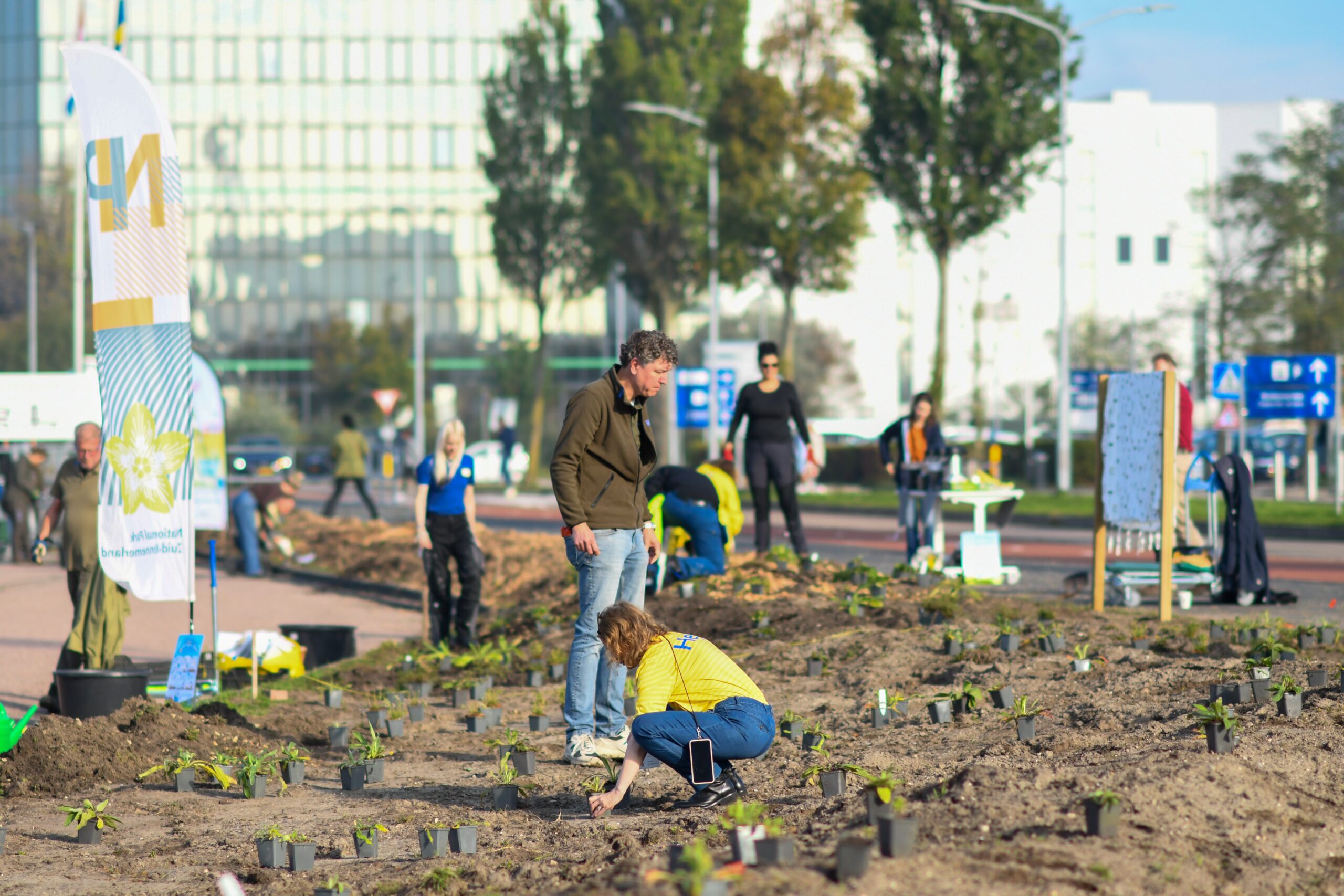 Mensen planten jonge planten in een stadsomgeving, onder een zonnige hemel.