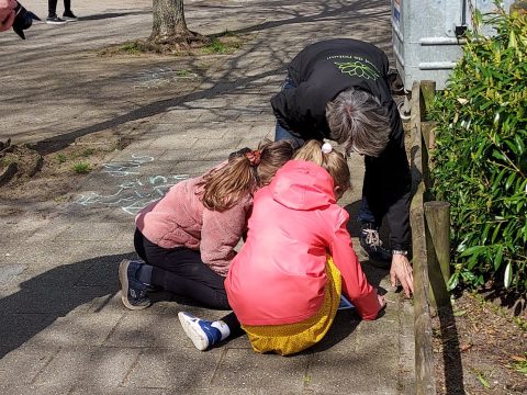 Leerlingen van de Schatgraver op ontdekkingstocht naar stoepplantjes