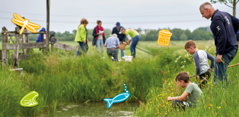 Wat leeft er in de Overijsselse slootjes?