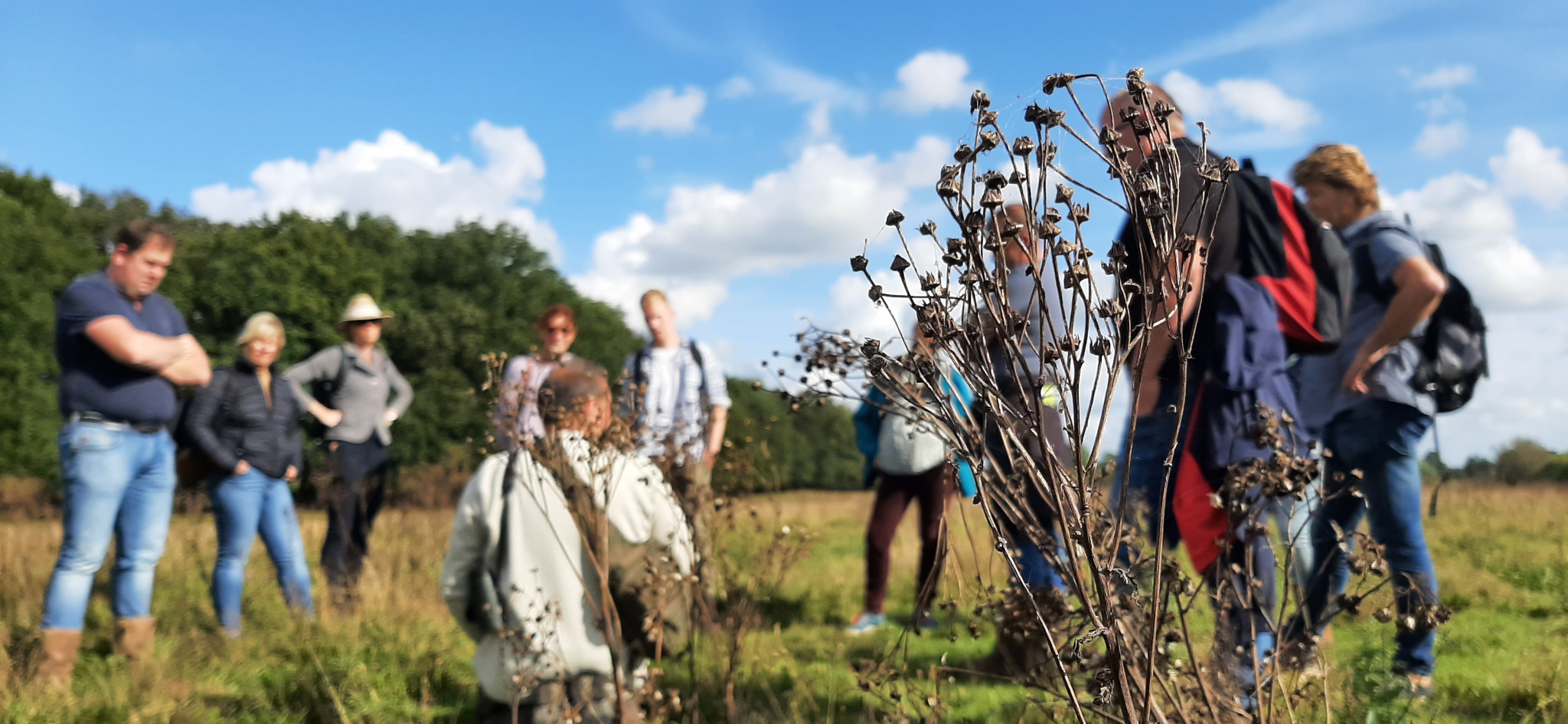 Interesselijst Gastheer van het Landschap Nationaal Park Sallandse Heuvelrug & Twents Reggedal