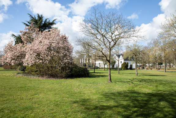 Groen Brinkgreven