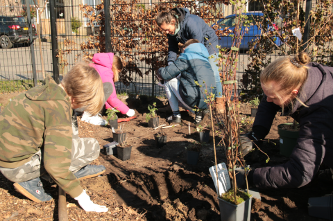 Leerlingen van obs de Markesteen in Zwolle planten Voedselbosje