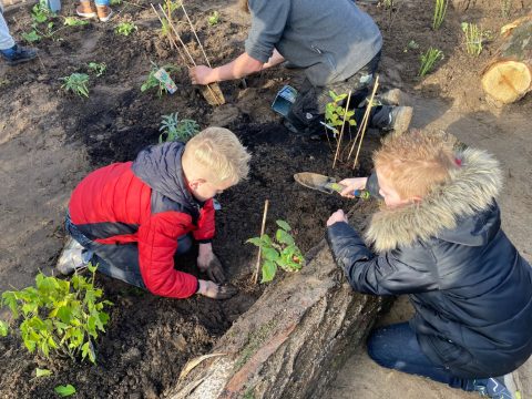 Kinderen van SBO Het Speelwerk planten eigen Voedselbosje aan