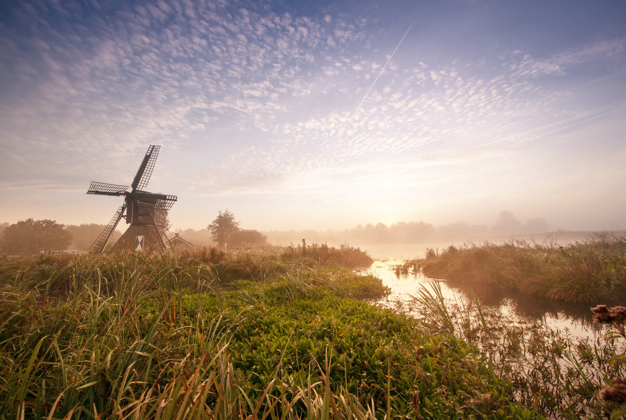 Molen in mistig landschap met riet en zonsopkomst aan de horizon.