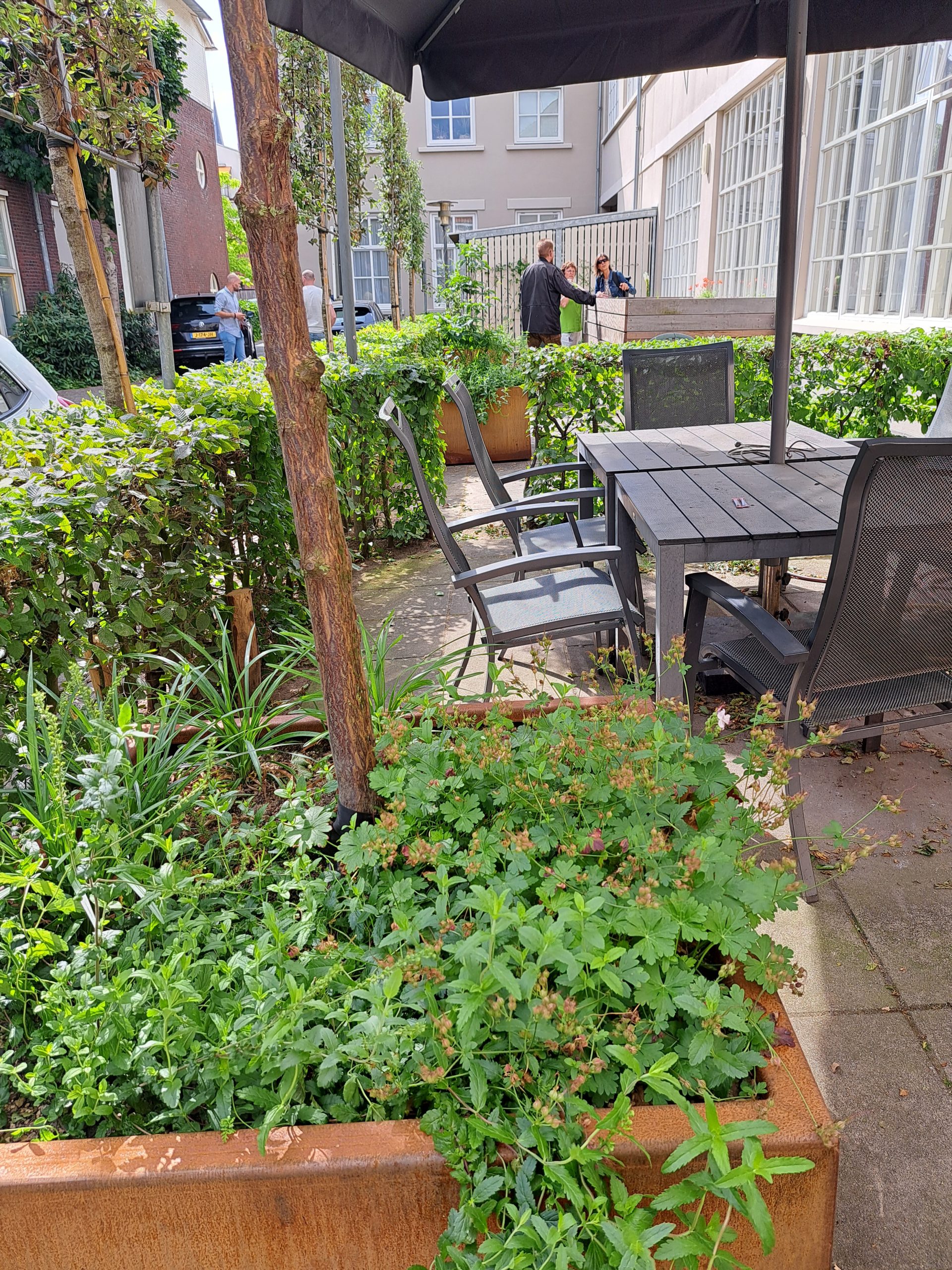 Buitenterras met tafel en stoelen omgeven door groene planten en mensen die verderop praten.
