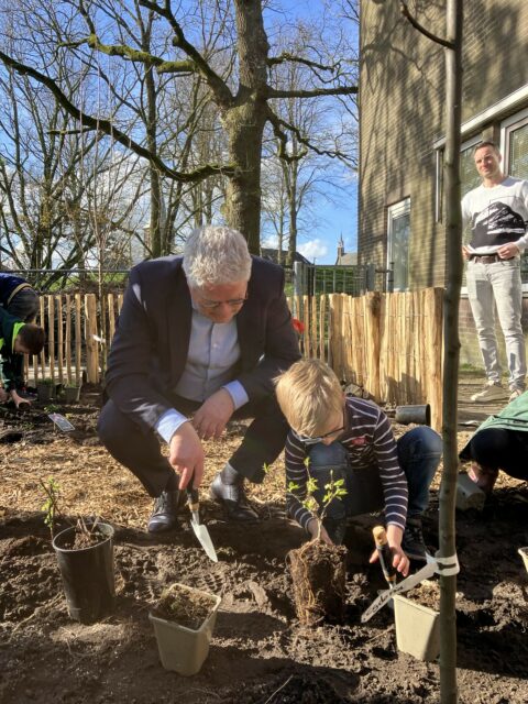 Volwassene en kind planten samen een boom in een zonnige tuin.