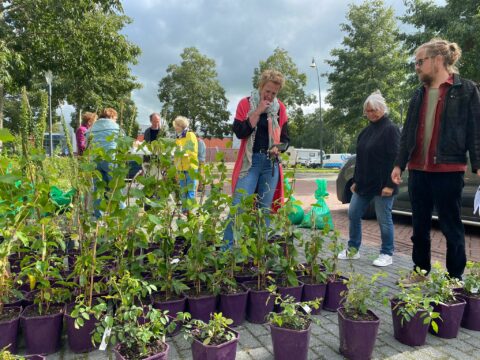 Groep mensen bekijkt planten in paarse potten op een buitenmarkt, omgeven door bomen.