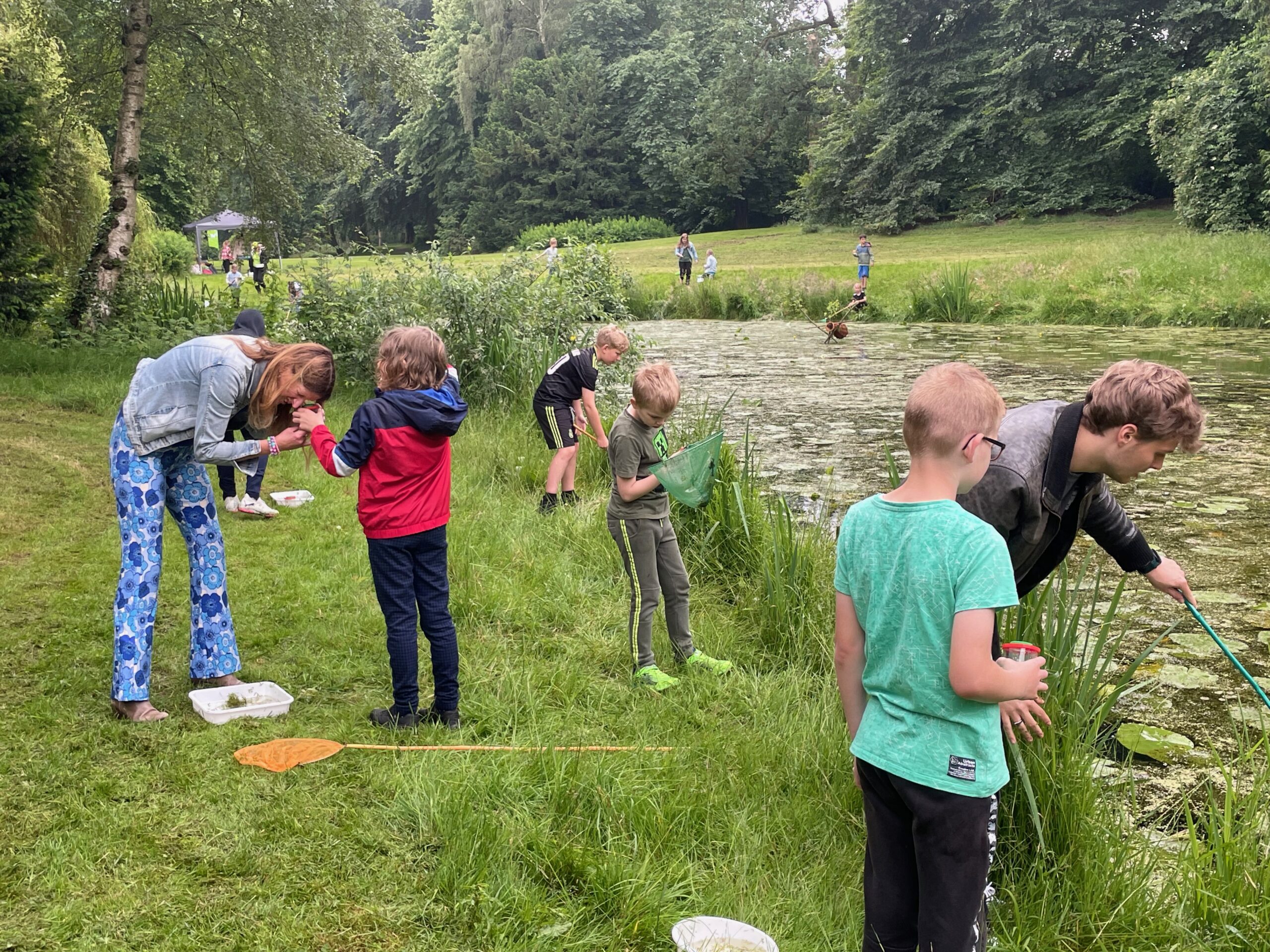 Kinderen en volwassenen onderzoeken een vijver met netten in een groen park.