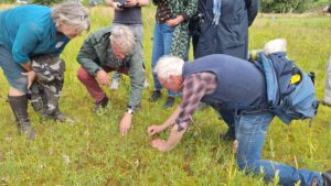 IVN vrijwilligers actief tijdens workshops