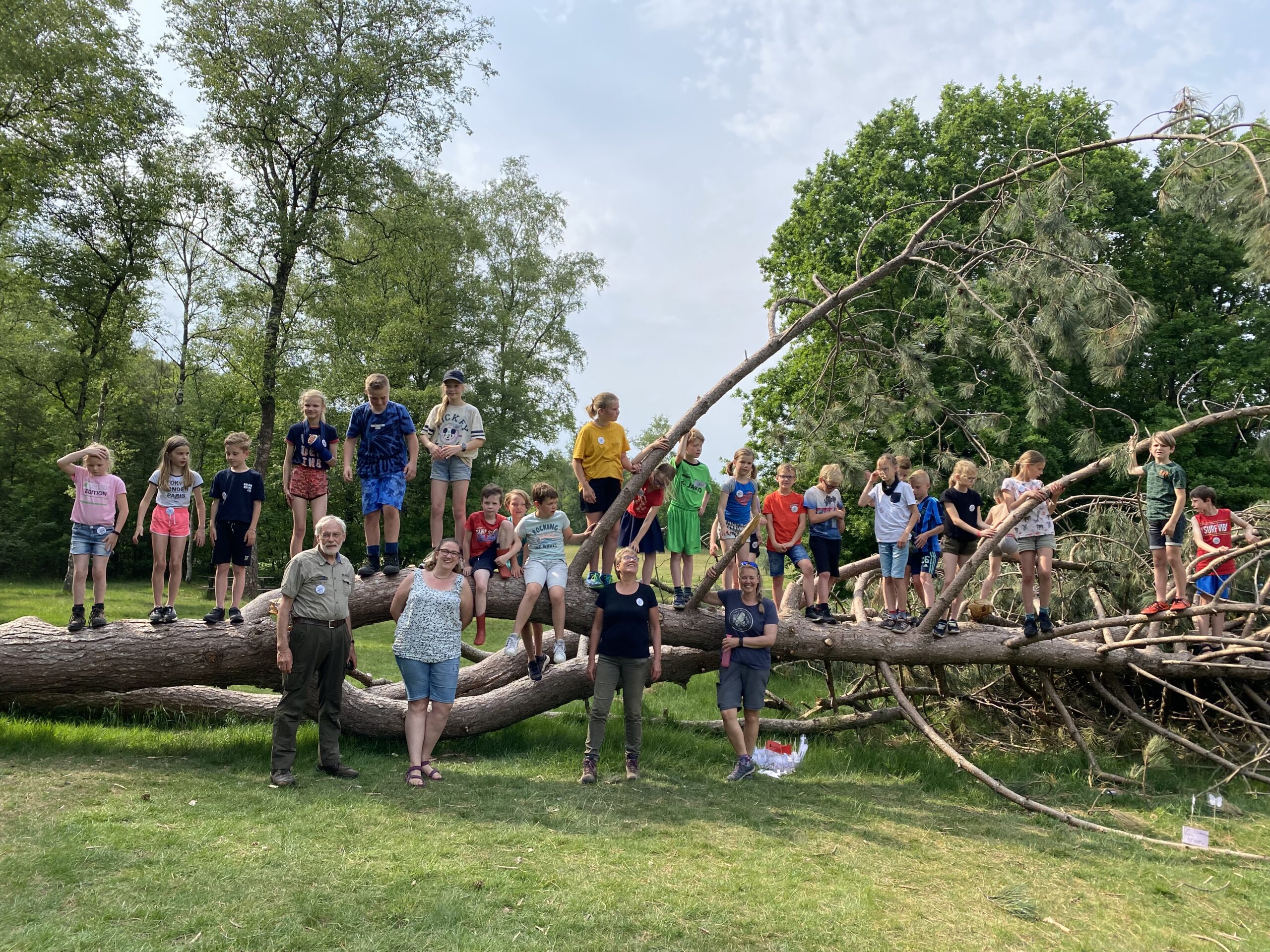 Een groep kinderen en volwassenen staat op een grote, omgevallen boom in een bosrijke omgeving.