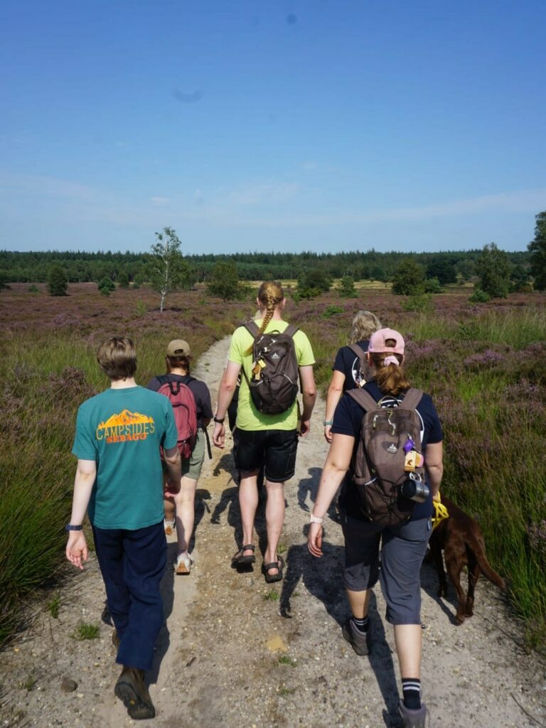 Een groep wandelaars en een hond lopen over een bospad op een zonnige dag.