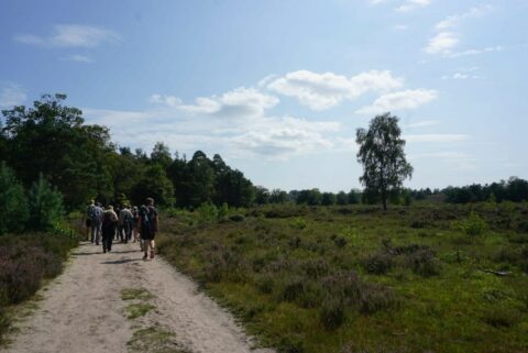 Youth+ sallandse heuvelrug