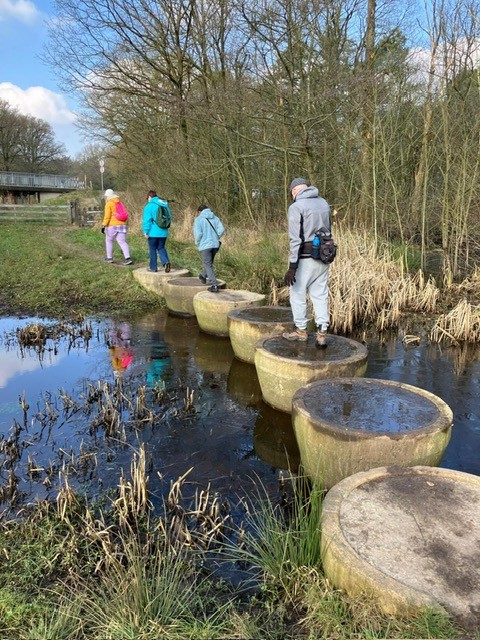 Mensen steken een beek over via grote, ronde stenen in een boslandschap.