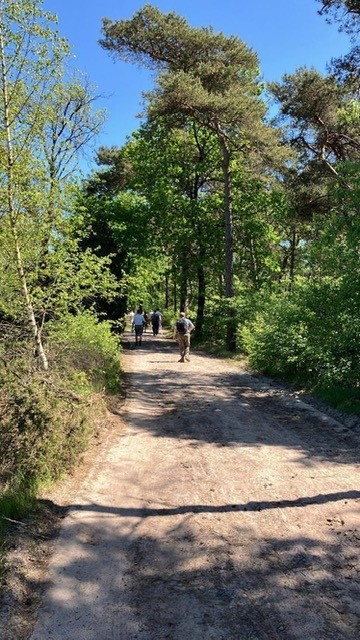 Een groep mensen wandelt ontspannen over een bosweg op een zonnige dag.
