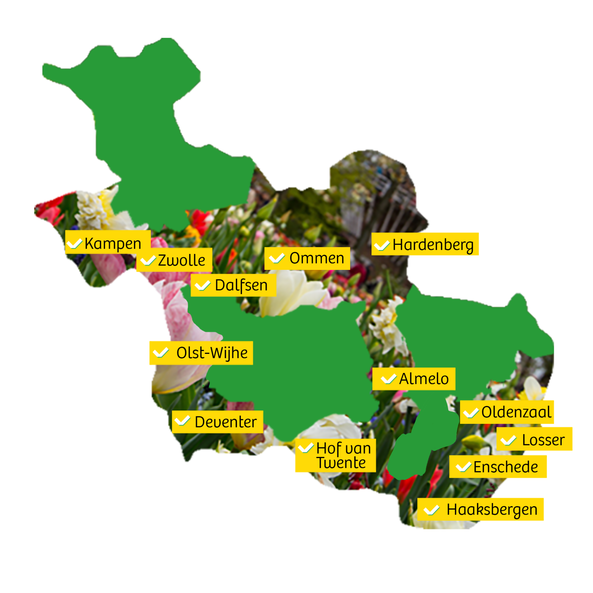 Steden in Overijssel op een groene kaart met bloemen op de achtergrond.