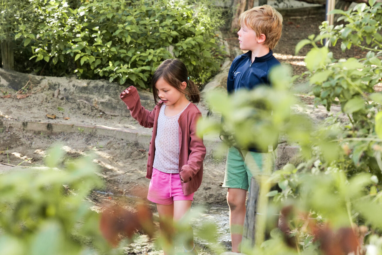 Twee kinderen in een groene tuin, verkennen een zandpad omgeven door bladeren.