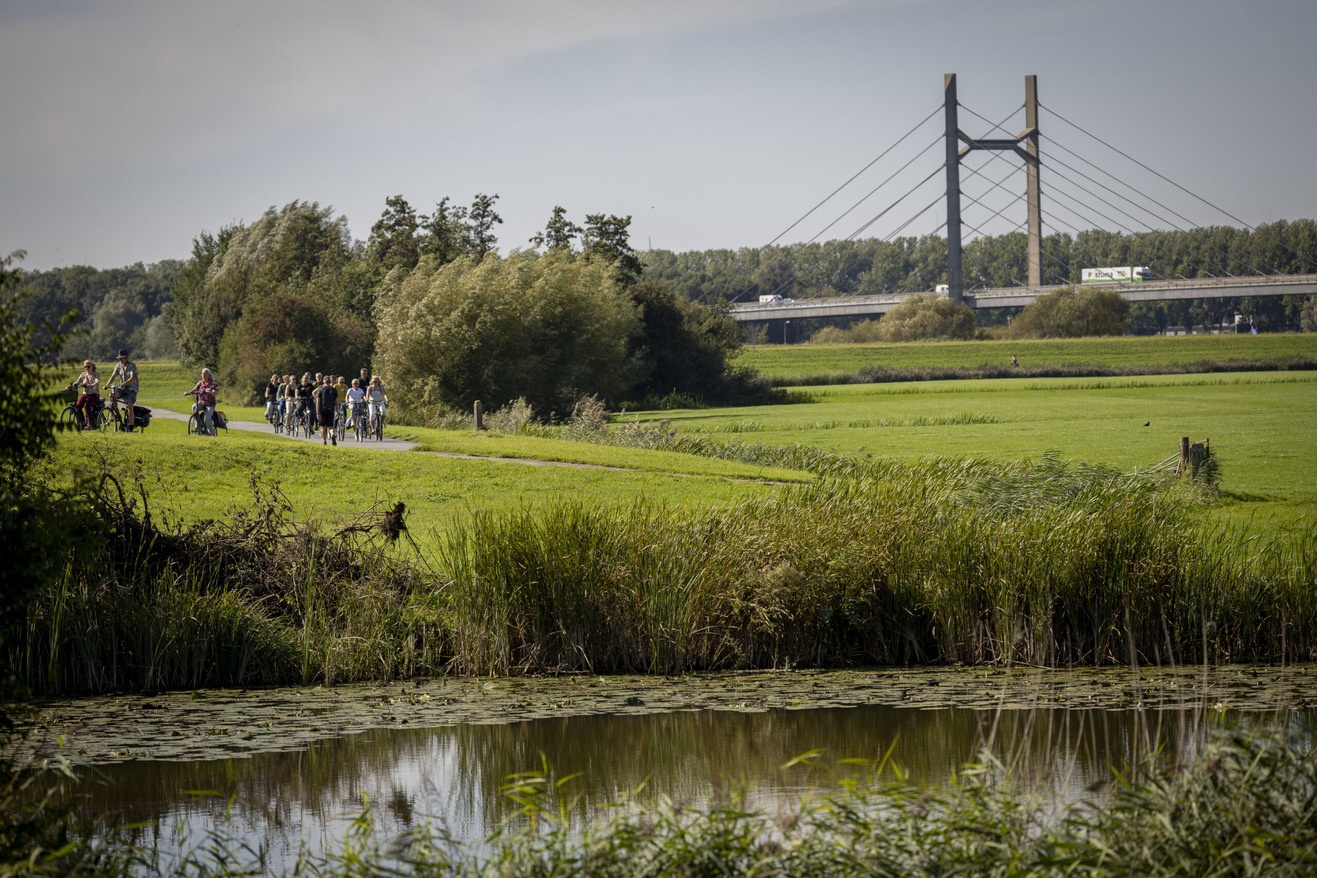 Fietsers op landweg naast meer, met brug en verkeer op de achtergrond.